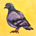 NYC Pigeon ART PRINT