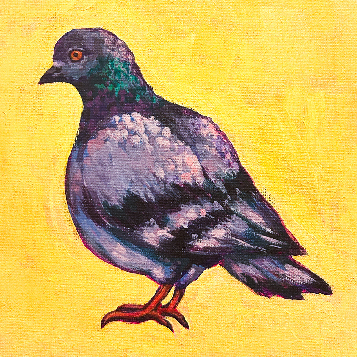 NYC Pigeon ART PRINT